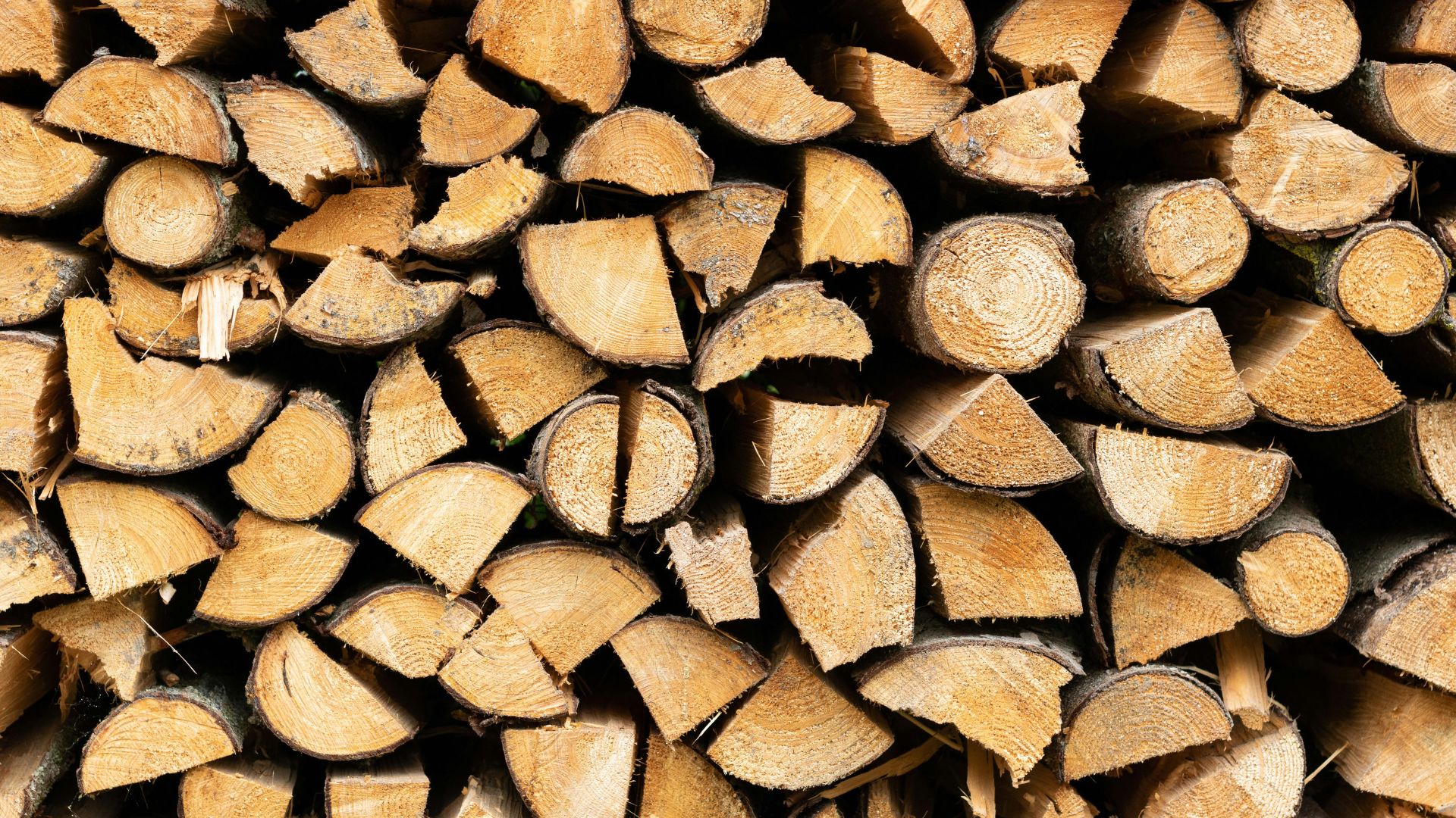 Drewno opałowe – przewodnik po składach drewna we Wrocławiu